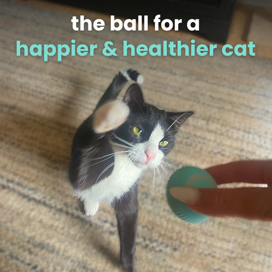 PurrPlaymate™ - Rotating Smart Ball