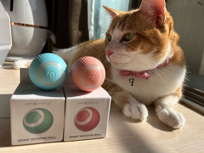 PurrPlaymate™ - Rotating Smart Ball