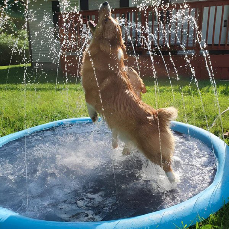 The DoggySplash™ - Sprinkler Pad