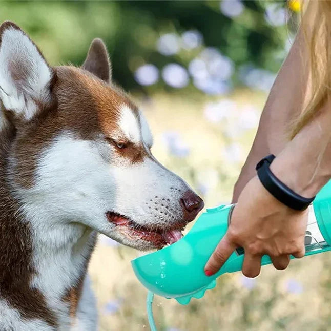 4-In-1 Portable Multifunctional Dog Waterer Bottle