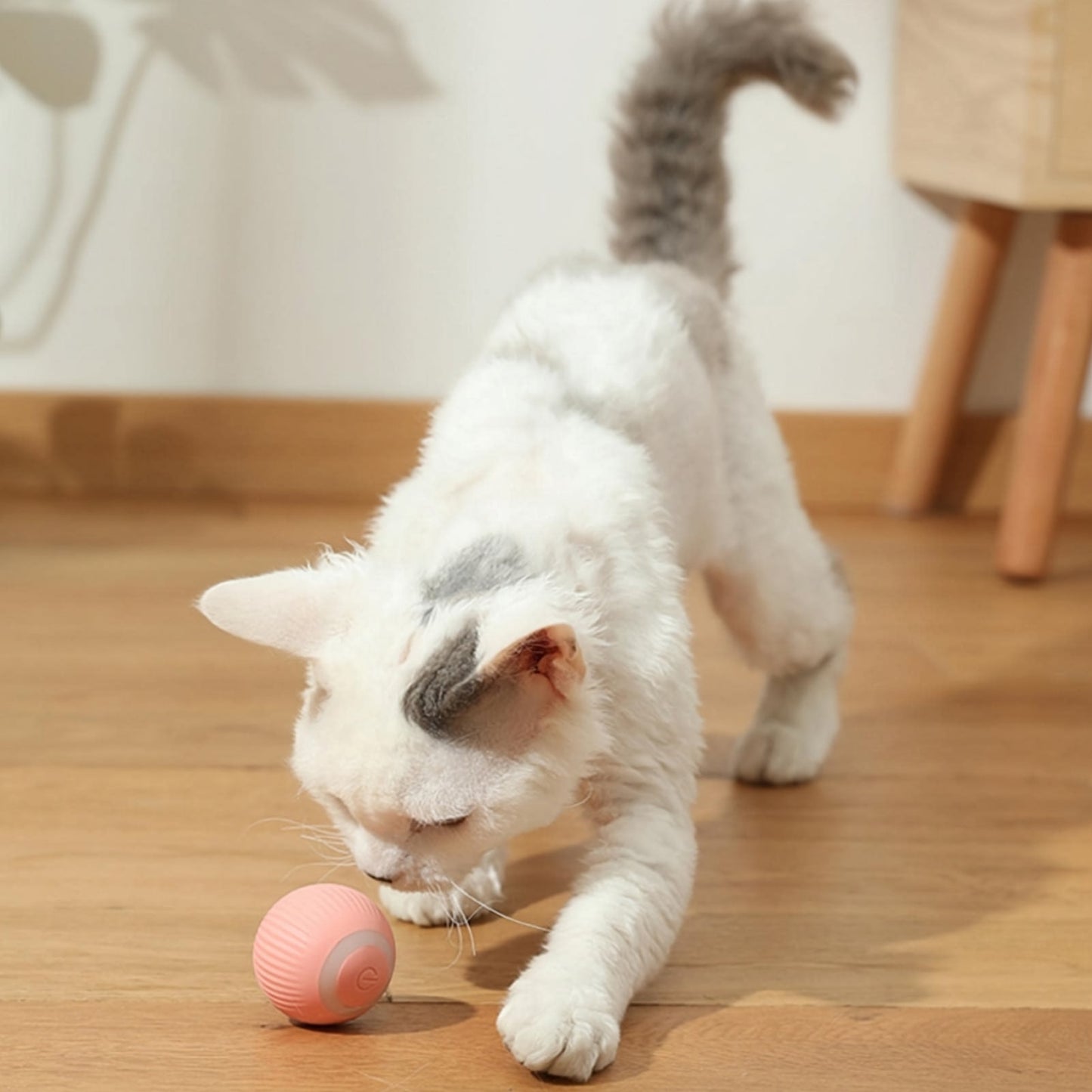 PurrPlaymate™ - Rotating Smart Ball